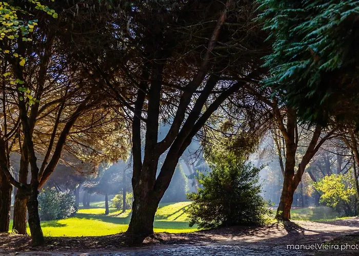 Role Douro - Almada 340 *