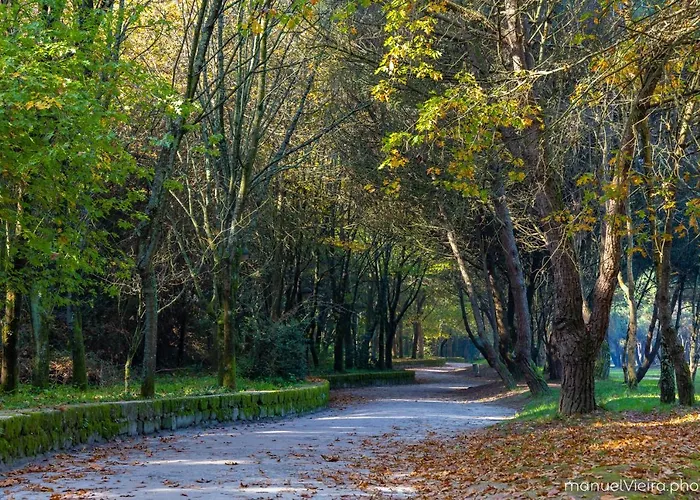 Role Douro - Almada 340