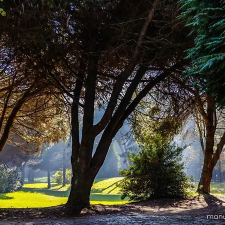 Role Douro - Almada 340 *