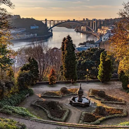 Rolé Douro - Almada 340 *